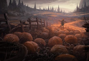 A large pumpkin patch at sunset
