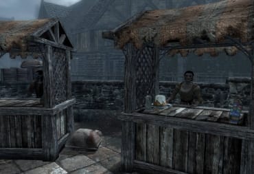 A screenshot of Skyrim, one of the games Arthmoor modded during their time at Nexus Mods.