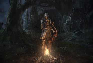 The Chosen Undead standing before a bonfire in Dark Souls