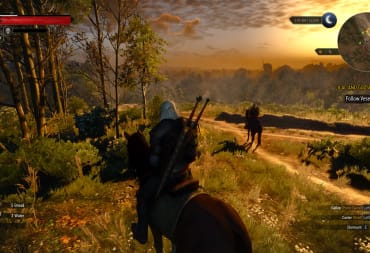 Witcher 3 Wild Hunt Screenshot 2