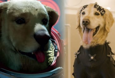Cosmo, the dog from Marvel's Guardians of the Galaxy game next to Diego, the motion-capture golden retriever