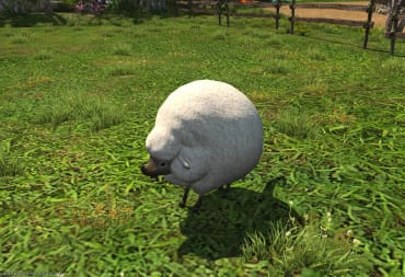 Catch 'em all with our Final Fantasy XIV Island Sanctuary Animal Guide header.