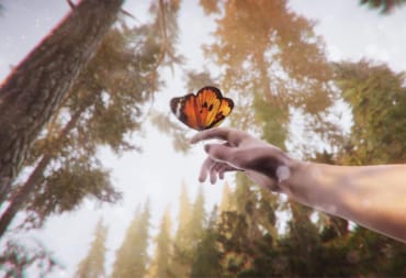 A butterfly resting on a hand in The Forest Cathedral