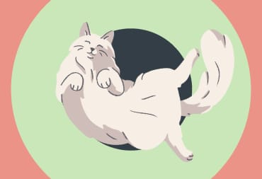 A Little to the Left Header which is a cat doing cat things all like nyaaa