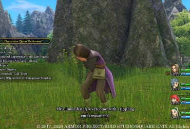 Dragon Quest screenshot showing a character overcome with crippling embarrassment. 