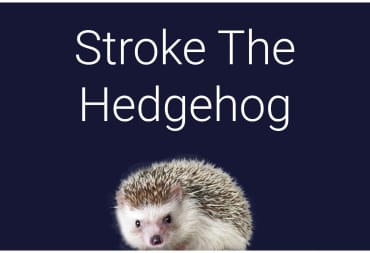 The rather self-explanatory title screen for Stroke the Hedgehog, a Game Achievements Ltd trophy spam game in which the objective is to, well, stroke a hedgehog
