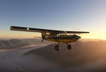 Microsoft Flight Simulator Maule