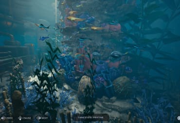 Star Wars Jedi Survivor Fish Guide, Filling the Aquarium