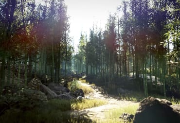 Black Desert Environment Screenshot