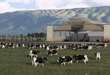 Microsoft Flight Simulator - Cows at Dunedin