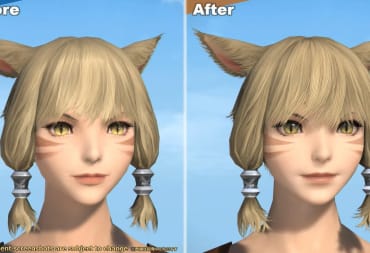 Final Fantasy XIV Graphical Update Miqo'te