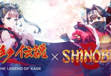 Shinobi Legend of Kage in 404 Game Re:Set