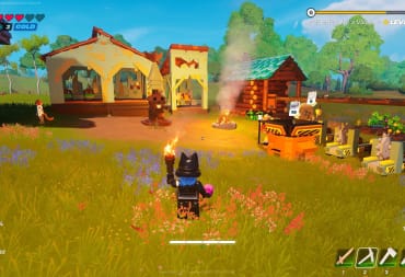 Standing with a torch in a level 6 Grasslands village. 