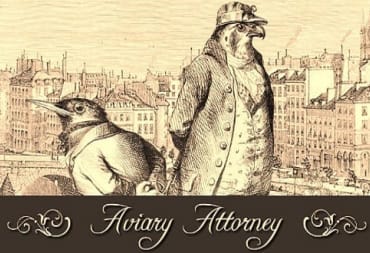 Aviary Attorney Review