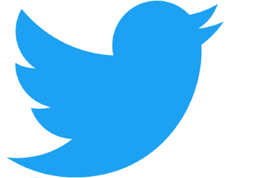 twitter-logo-big bidders