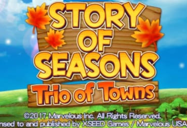 artwork showing a natural landscape of a green meadow with bright blue sky above. In the centre, a wooden board decorated with autumn leaves surrounds writing that says "Story of Seasons: Trio of Towns"