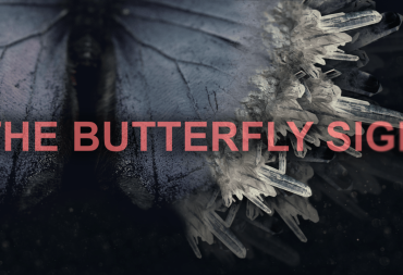 The Butterfly Sign Logo