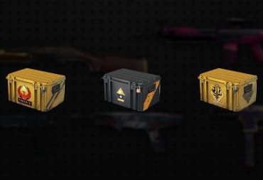 Counter-Strike Global Offensive Weapon Cases