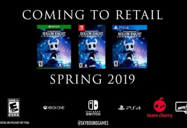 hollow knight for console