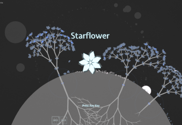 starflower header